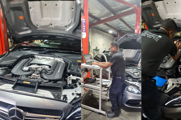 Untitled design (89)