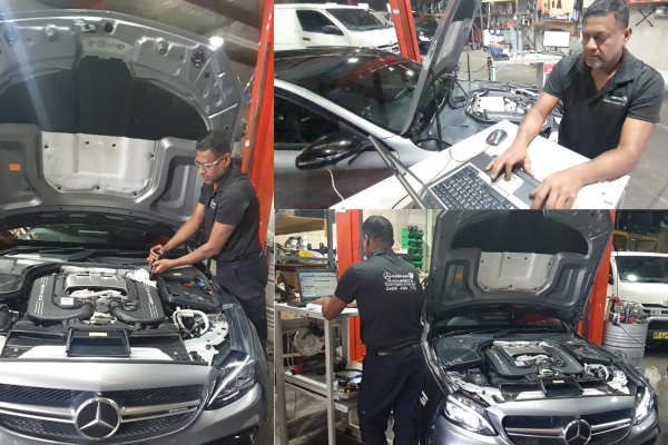 Untitled design (90)