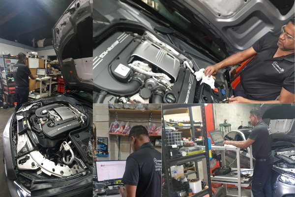 Untitled design (91)