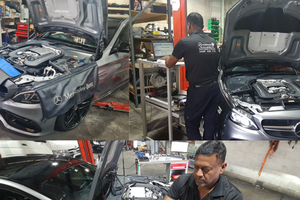 Untitled design (92)